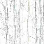 Swedish Birch Silver